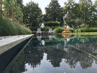 betegeld Biopool met grasrand en houten terras