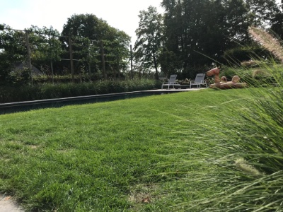 tuin in Bornem met zwembad