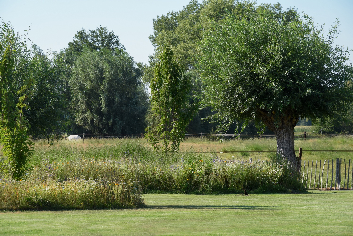 landelijke omgeving rond wit zwembad met maatwerk hoektrap